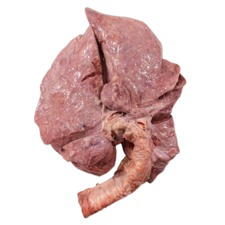 Beef lung