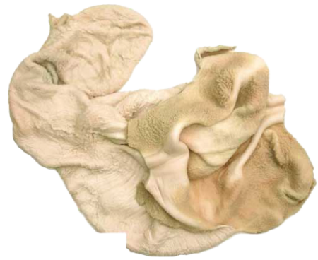 Beef green tripe