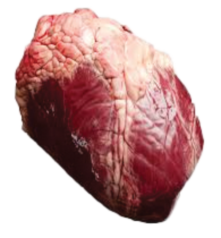 Beef heart