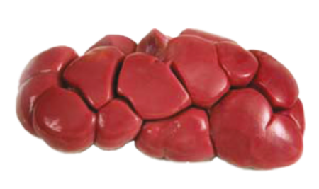 Beef Kidneys