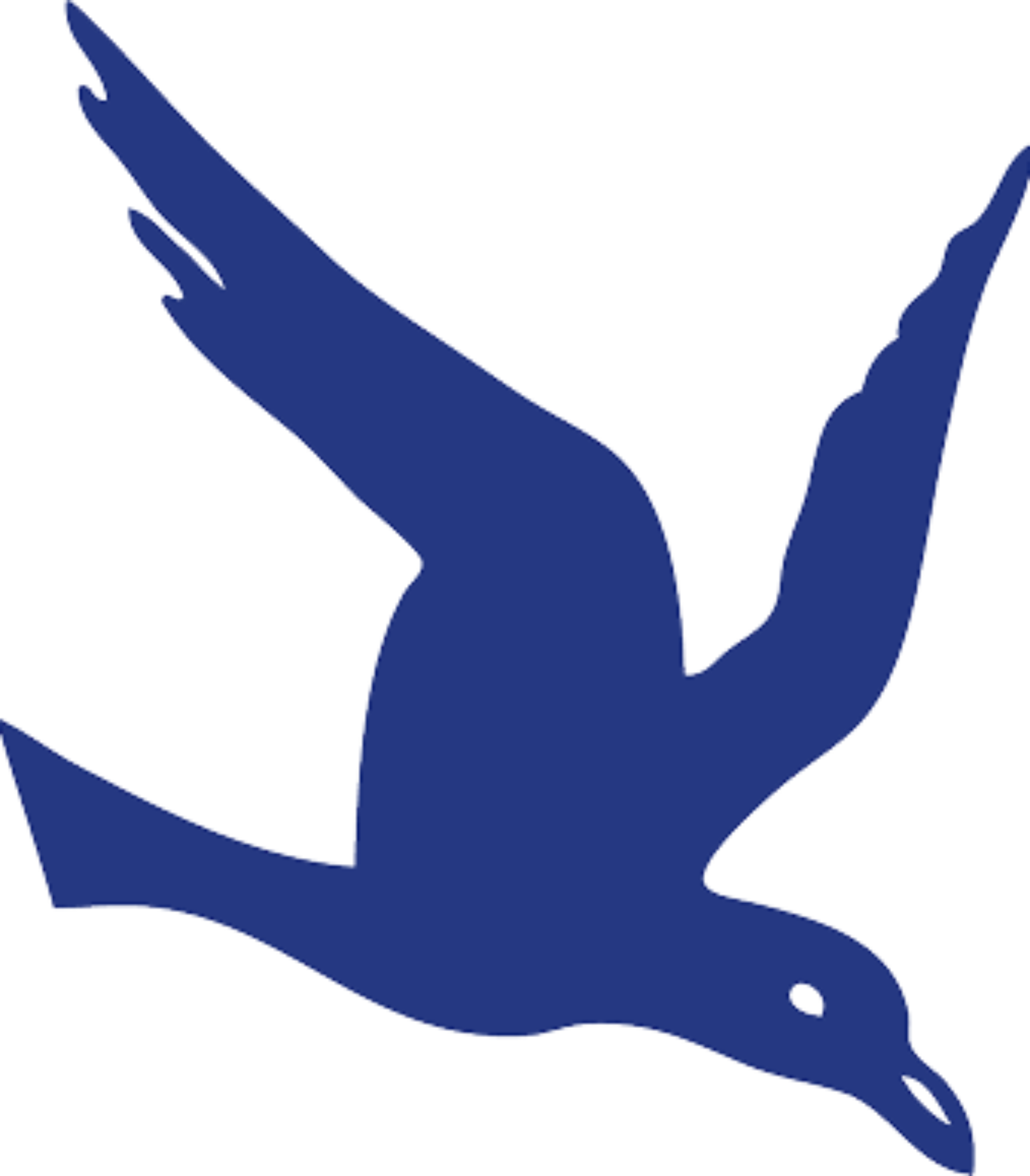 J Marr bird