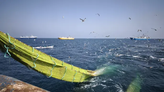 Fishing nets
